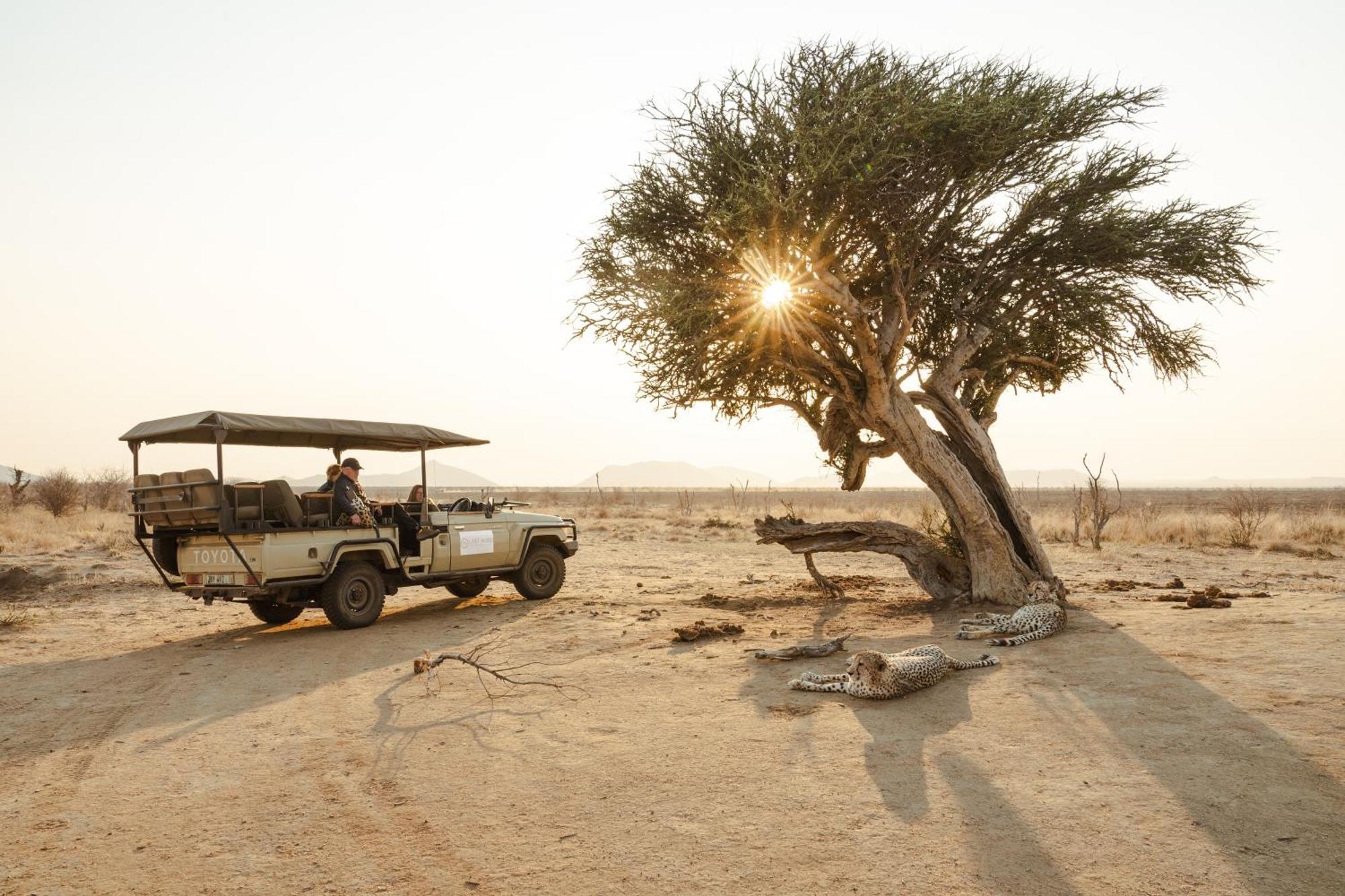 Last Word Madikwe Madikwe Game Reserve Exterior photo