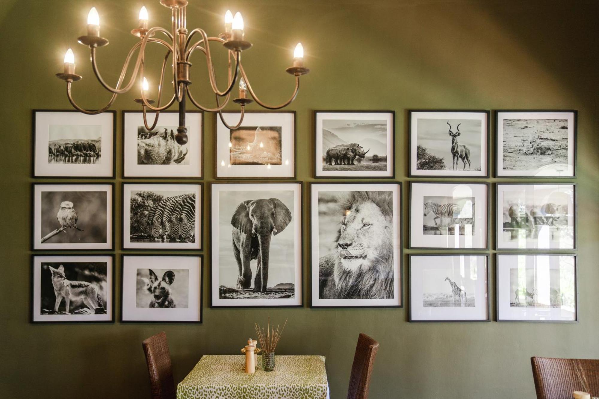 Last Word Madikwe Madikwe Game Reserve Exterior photo