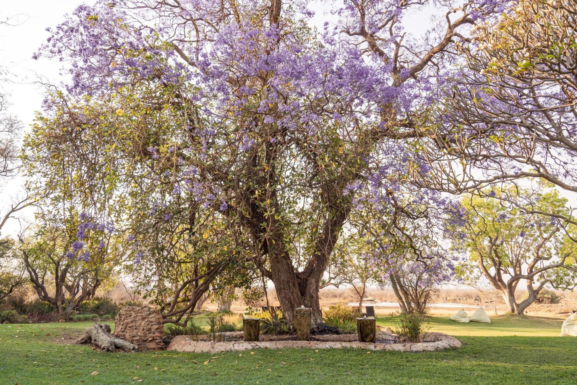 Last Word Madikwe Madikwe Game Reserve Exterior photo