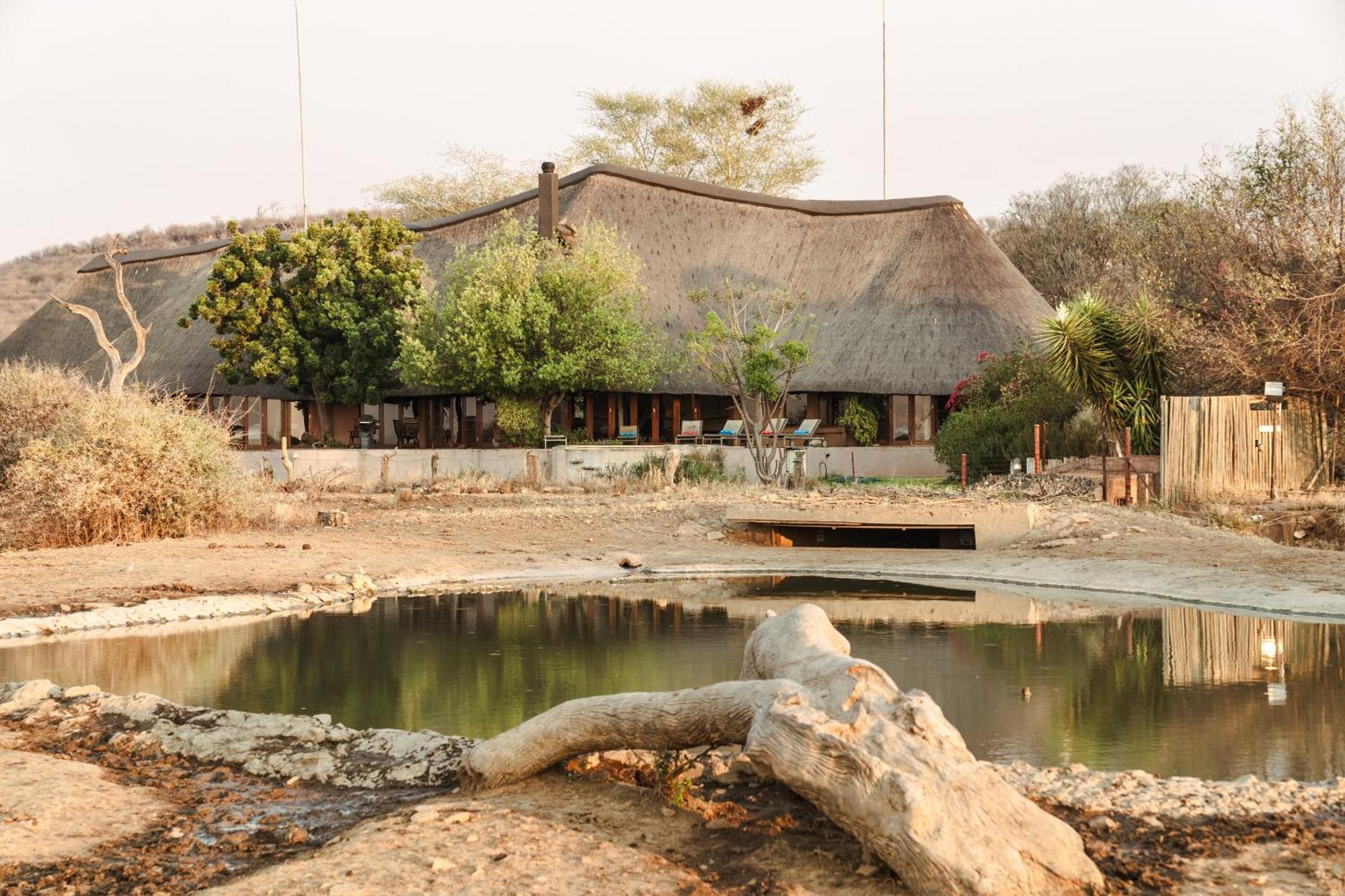 Last Word Madikwe Madikwe Game Reserve Exterior photo